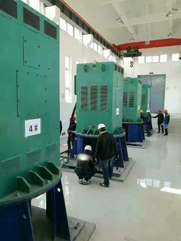 甘孜某污水处理厂使用我厂的立式高压电机安装现场报价